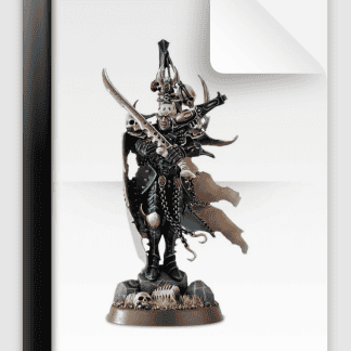 Archon 2014 Model Instructions