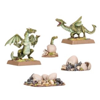 Baby Dragons Completed Model Set