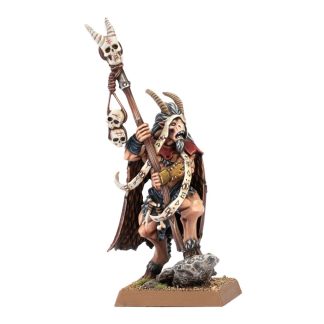 Beastman Shaman Completed Model Set