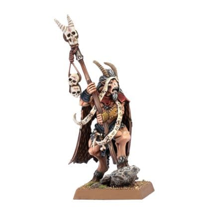Beastman Shaman Completed Model Set