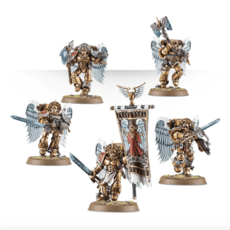 Blood Angels Sanguinary Guard Completed Model Set