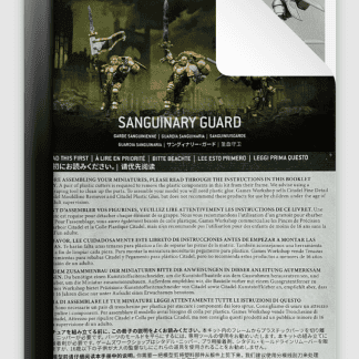 Blood Angels Sanguinary Guard New 2024 HQ