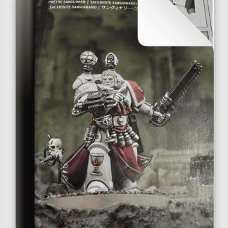Blood Angels Sanguinary Priest 2024