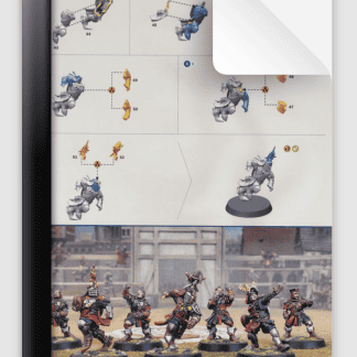 Bretonnian Blood Bowl Team The Brionne Barons