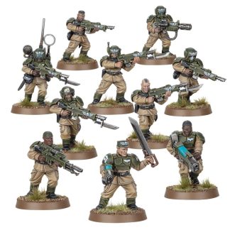 Cadian Shock Troops Completed Model Set
