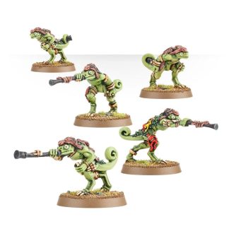 Chameleon Skinks Completed Model Set
