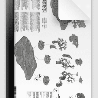 Citadel Wood Instructions