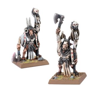 Classic Bray Shamans Completed Model Set