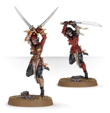 Death Cult Assassins Completed Model Set