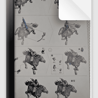 Haleth And Hama Princes Of Rohan from War of The Rohirrim Battle of Edoras Box Set