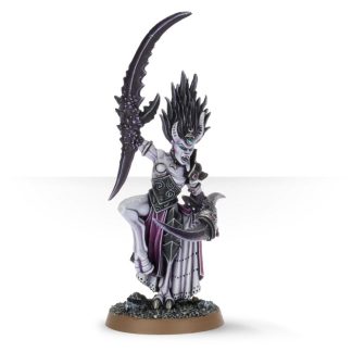 Herald of Slaanesh Completed Model Set