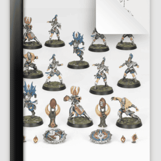 High Elf Blood Bowl Team The Caledor Dragons Instructions