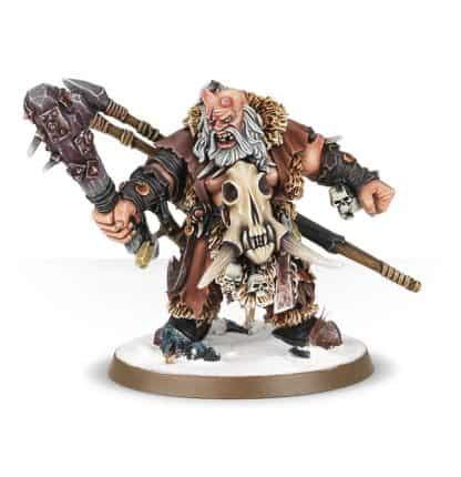 Icebrow Hunter Completed Model Set