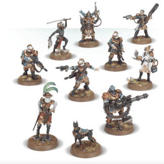 Kill Team Rogue Trader Team The Elucidian Starstriders Completed Model Set