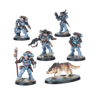 Kill Team Wolf Scouts Completed Model Set