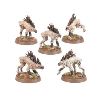 Kroot Hounds New 2024 Completed Model Set