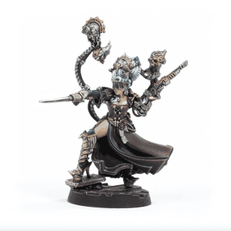 Lady Credo, Rebel Lord Completed Model Set