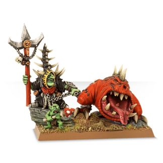 Loonboss with Giant cave Squig Completed Model Set