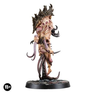 Malstrain Coalescence Completed Model Set