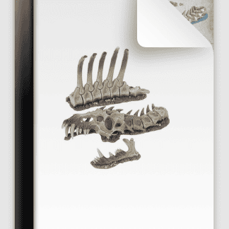 Megadroth Remains from Thondian Strongpoint Scenery