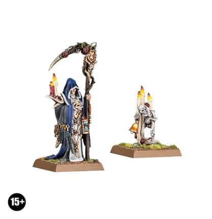 Necromancer Wizard And Familiar Completed Model Set