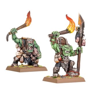Orc Raiders Completed Model Set