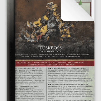Orruk Tuskboss on Maw grunta or Maw grunta Gouger or Maw grunta with Hakkin Crew HQ ALT