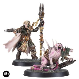Outland Beastmaster With Wasteland Giant Rat Completed Model Set