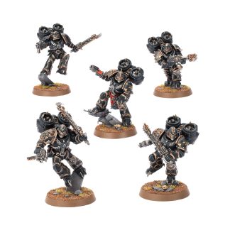Raptors New 2026 Completed Model Set