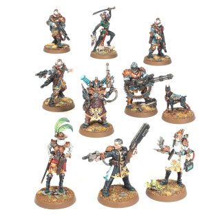 Rogue Trader Entourage And Voidsmen At Arms Completed Model Set