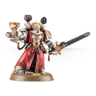 Sanguinary Priest Completed Model Set