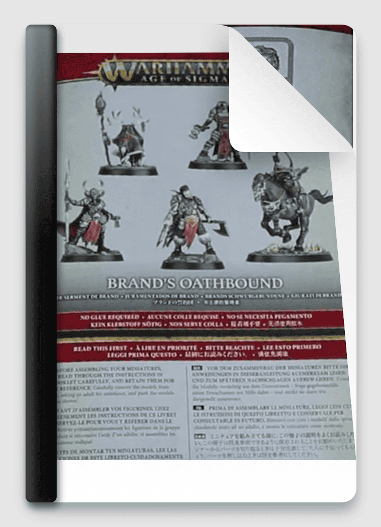 Slaves to Darkness Brands Oathbound Instructions Low Quality