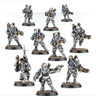 Solar Auxilia Veletaris Storm Section Completed Model Set