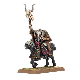 Sorcerer Of Chaos On Chaos Steed Completed Model Set