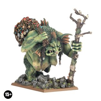 Troll Hag Completed Model Set