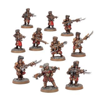 Vostroyan Squad Completed Model Set
