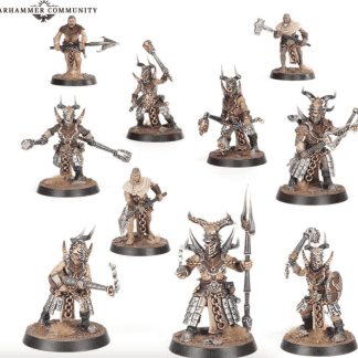 Warcry Horns of Hashut Completed Model Set