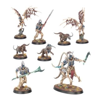 Warcry Teratic Cohort Completed Model Set
